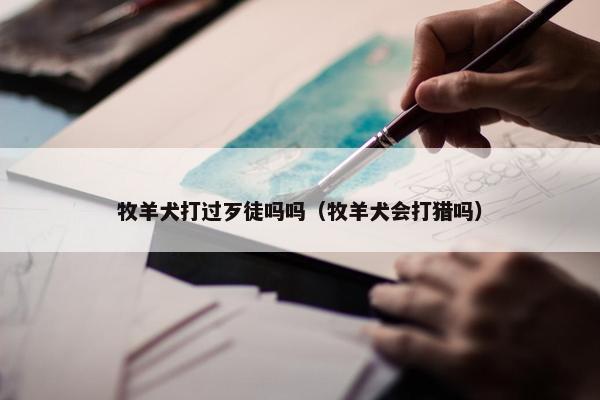 牧羊犬打过歹徒吗吗（牧羊犬会打猎吗）