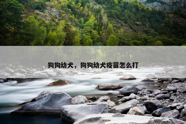 狗狗幼犬，狗狗幼犬疫苗怎么打