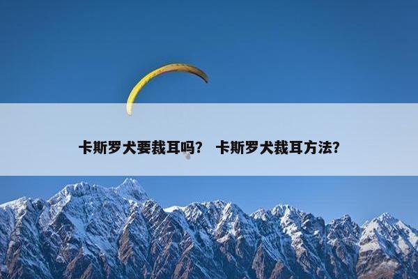 卡斯罗犬要裁耳吗？ 卡斯罗犬裁耳方法？