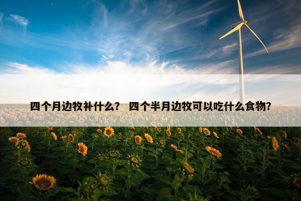 四个月边牧补什么？ 四个半月边牧可以吃什么食物？