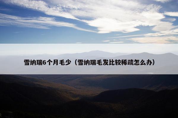 雪纳瑞6个月毛少（雪纳瑞毛发比较稀疏怎么办）