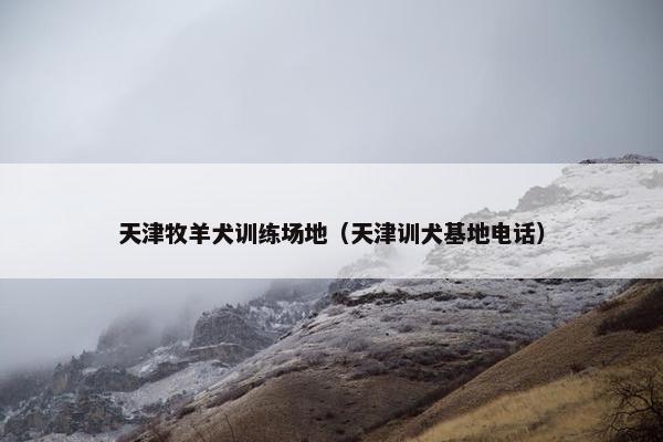 天津牧羊犬训练场地（天津训犬基地电话）