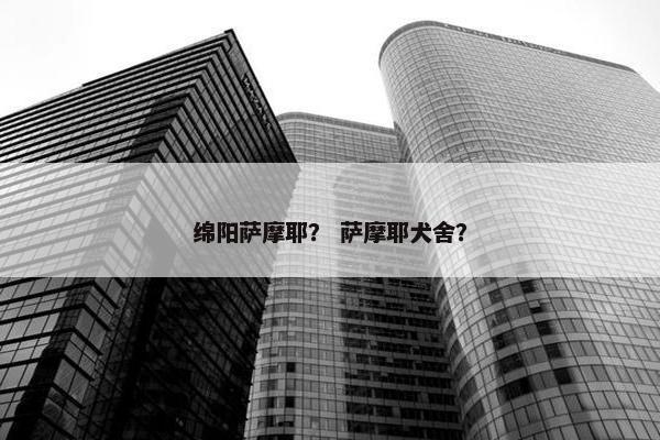 绵阳萨摩耶？ 萨摩耶犬舍？