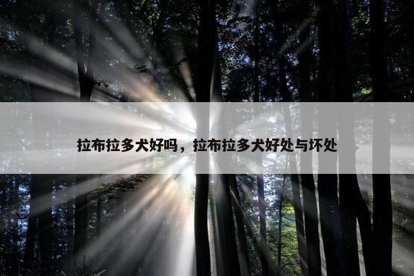 拉布拉多犬好吗，拉布拉多犬好处与坏处