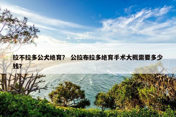 拉不拉多公犬绝育？ 公拉布拉多绝育手术大概需要多少钱？