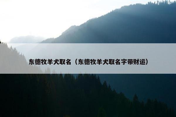 东德牧羊犬取名（东德牧羊犬取名字带财运）