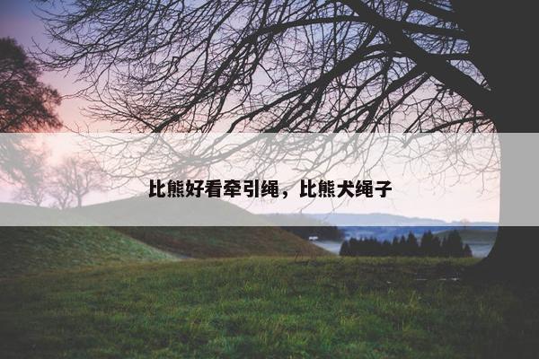 比熊好看牵引绳，比熊犬绳子