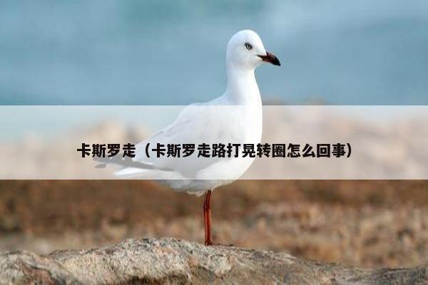 卡斯罗走（卡斯罗走路打晃转圈怎么回事）