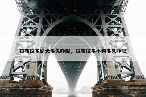 拉布拉多幼犬多久睁眼，拉布拉多小狗多久睁眼