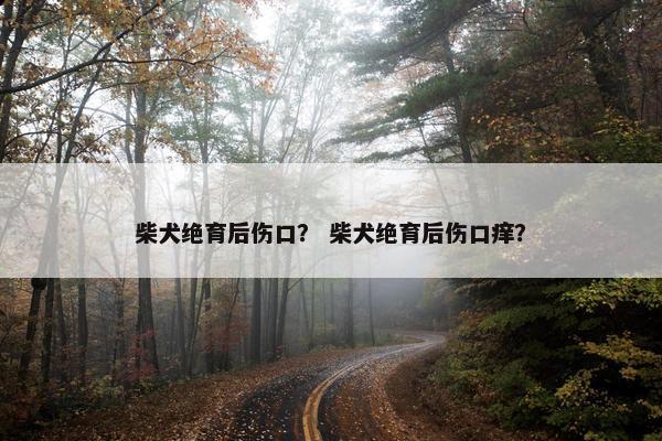 侵略性