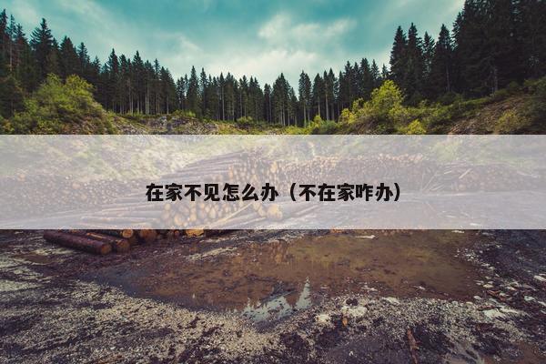 在家不见怎么办（不在家咋办）