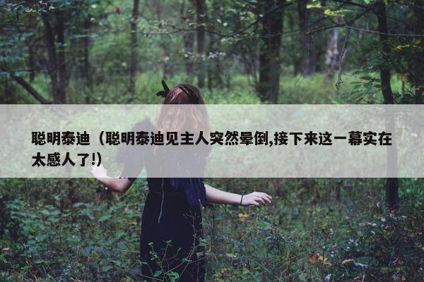 聪明泰迪（聪明泰迪见主人突然晕倒,接下来这一幕实在太感人了!）