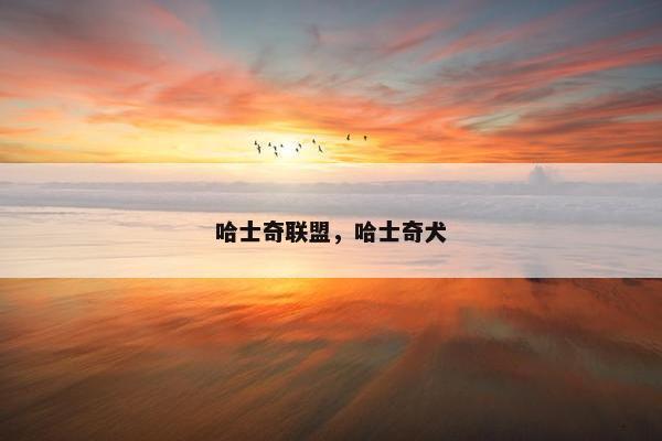 哈士奇联盟，哈士奇犬