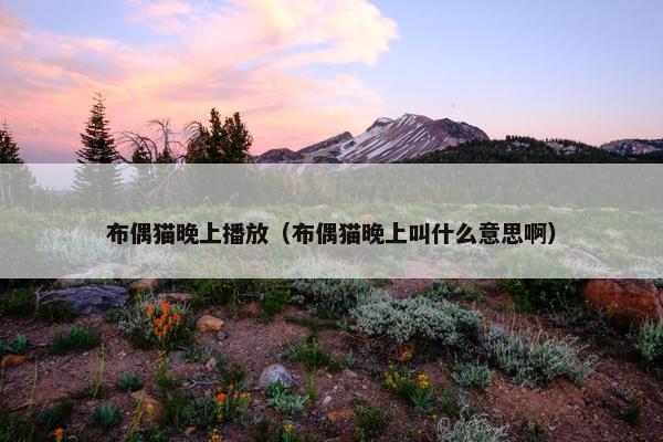 布偶猫晚上播放（布偶猫晚上叫什么意思啊）