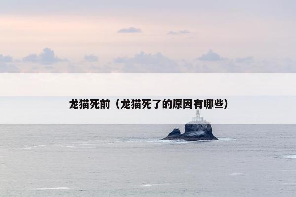 龙猫死前（龙猫死了的原因有哪些）