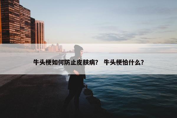 牛头梗如何防止皮肤病？ 牛头梗怕什么？