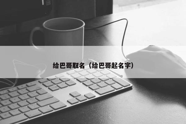 给巴哥取名（给巴哥起名字）