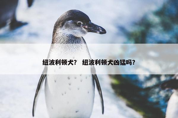 纽波利顿犬？ 纽波利顿犬凶猛吗？