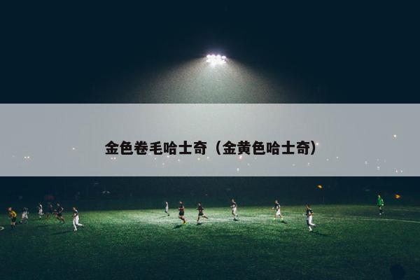 金色卷毛哈士奇（金黄色哈士奇）