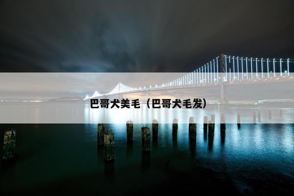 巴哥犬美毛（巴哥犬毛发）