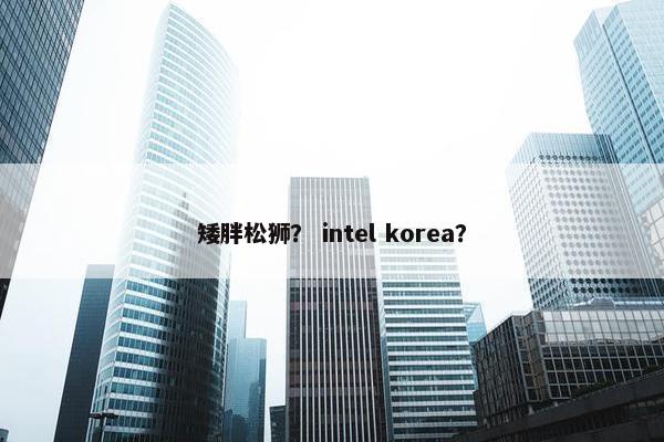 矮胖松狮？ intel korea？