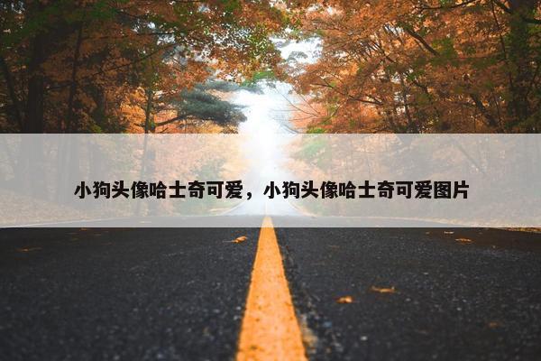 小狗头像哈士奇可爱，小狗头像哈士奇可爱图片