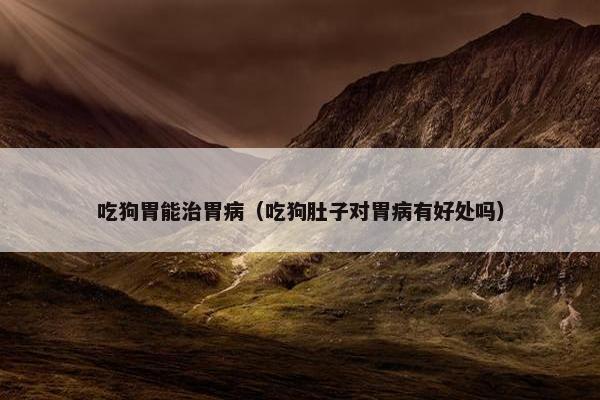 吃狗胃能治胃病（吃狗肚子对胃病有好处吗）