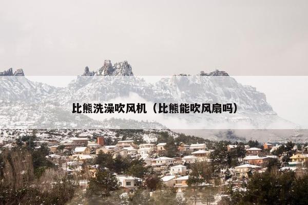 比熊洗澡吹风机（比熊能吹风扇吗）
