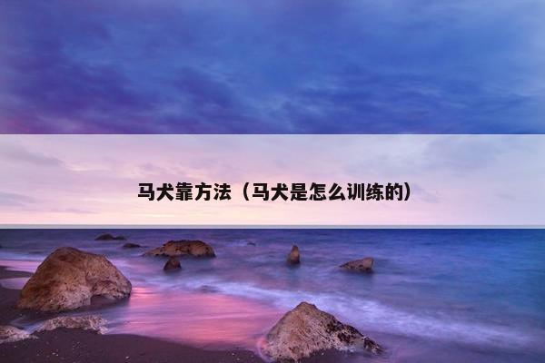 马犬靠方法（马犬是怎么训练的）
