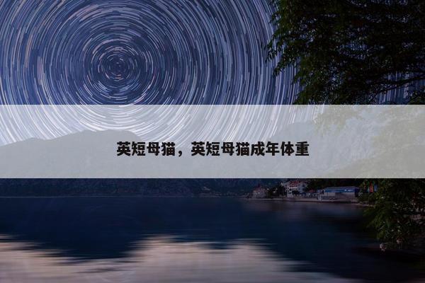 英短母猫，英短母猫成年体重