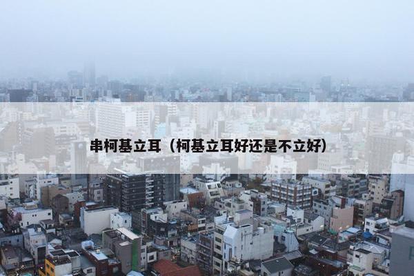 串柯基立耳（柯基立耳好还是不立好）