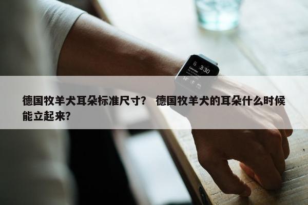 德国牧羊犬耳朵标准尺寸？ 德国牧羊犬的耳朵什么时候能立起来？