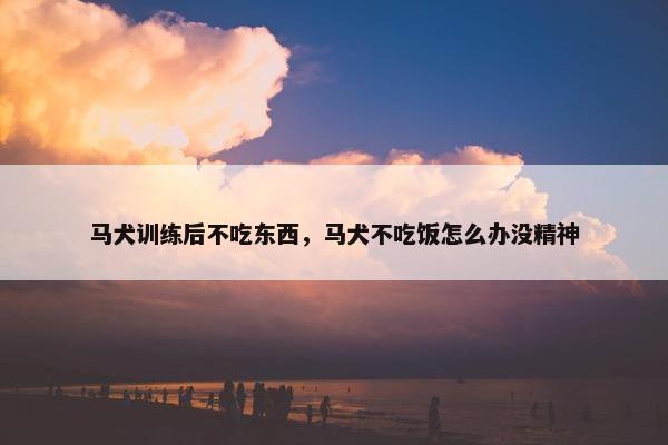 马犬训练后不吃东西，马犬不吃饭怎么办没精神