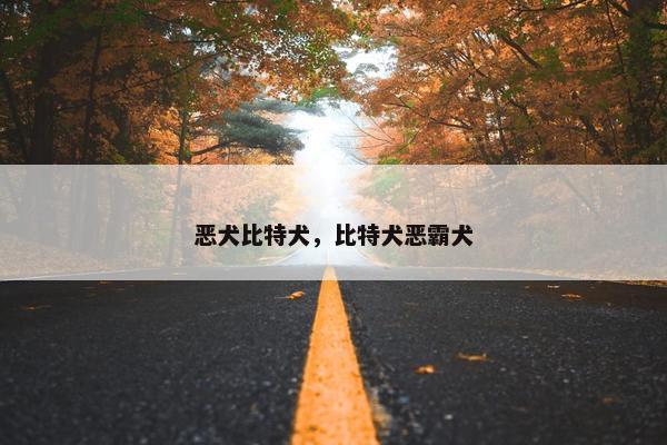 恶犬比特犬，比特犬恶霸犬
