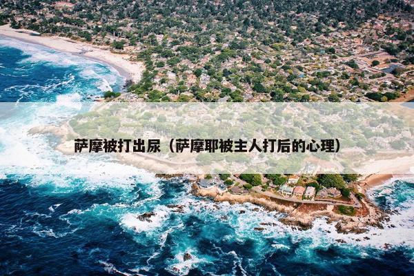 萨摩被打出尿（萨摩耶被主人打后的心理）