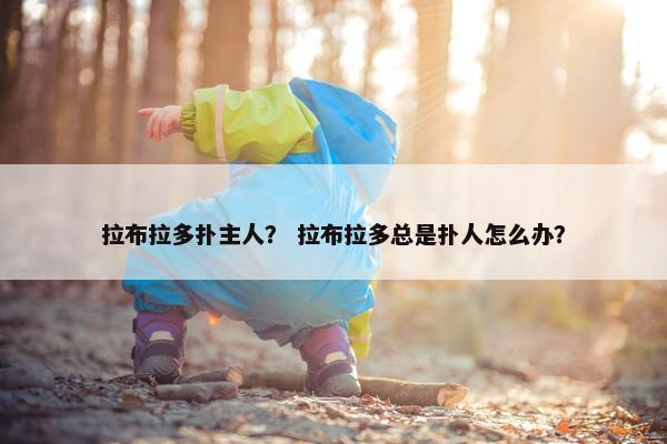 拉布拉多扑主人？ 拉布拉多总是扑人怎么办？