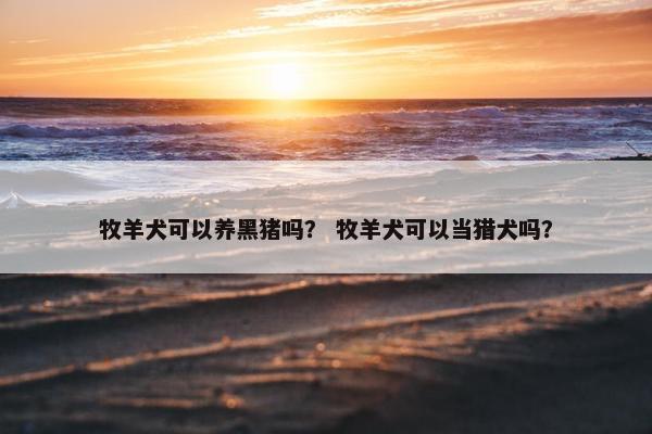 牧羊犬可以养黑猪吗？ 牧羊犬可以当猎犬吗？