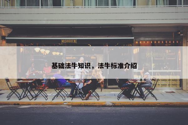 基础法牛知识，法牛标准介绍