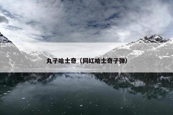 丸子哈士奇（网红哈士奇子弹）
