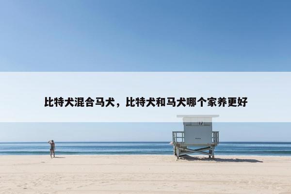 比特犬混合马犬，比特犬和马犬哪个家养更好