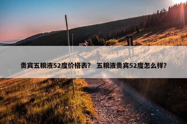 贵宾五粮液52度价格表？ 五粮液贵宾52度怎么样？