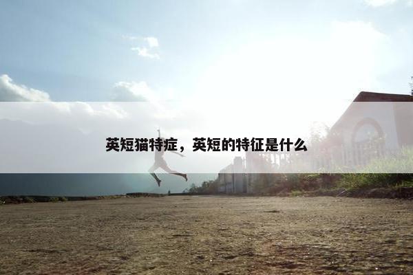英短猫特症，英短的特征是什么