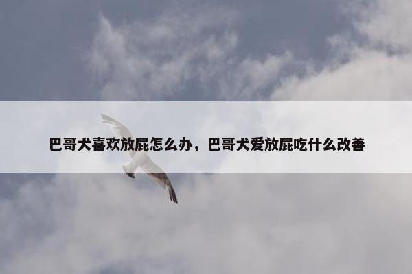 巴哥犬喜欢放屁怎么办，巴哥犬爱放屁吃什么改善
