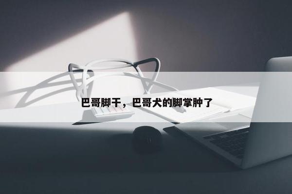 巴哥脚干，巴哥犬的脚掌肿了
