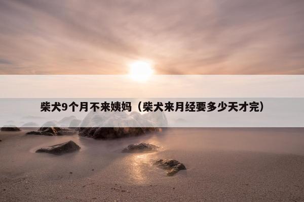 柴犬9个月不来姨妈（柴犬来月经要多少天才完）