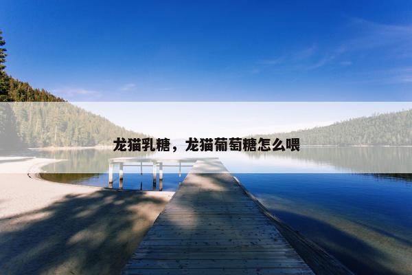 龙猫乳糖，龙猫葡萄糖怎么喂