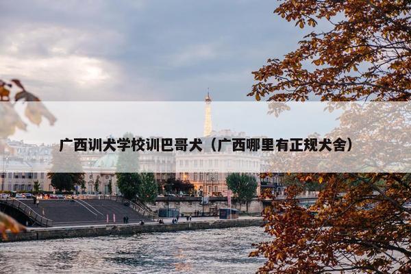 广西训犬学校训巴哥犬（广西哪里有正规犬舍）