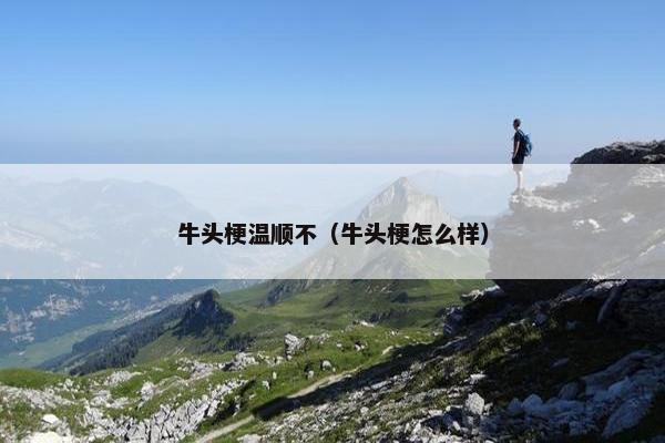 牛头梗温顺不（牛头梗怎么样）