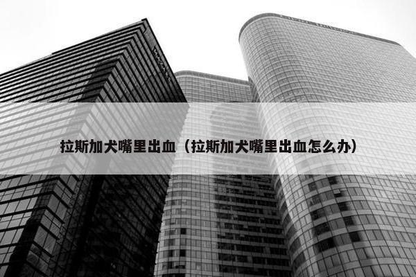 拉斯加犬嘴里出血（拉斯加犬嘴里出血怎么办）