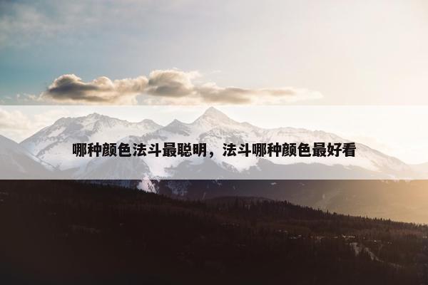 哪种颜色法斗最聪明，法斗哪种颜色最好看